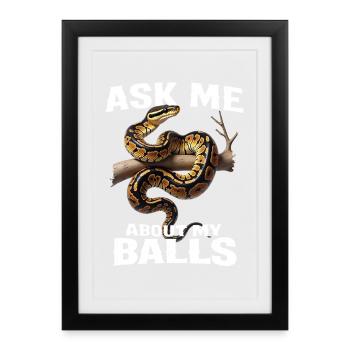 King Python Snakes Lover Terrarium Python - Framed poster (27 × 37 cm) - black - Front