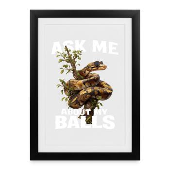 King Python Snakes Lover Terrarium Python - Framed poster (27 × 37 cm) - black - Front