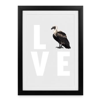 Vulture - Framed poster (27 × 37 cm) - black - Front