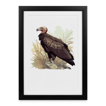 Vautour - Affiche encadrée (27 × 37 cm) - noir - Devant