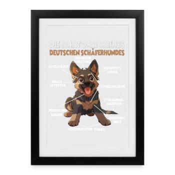  Lustiges Deutscher Schäferhund Gassi T für Hundeb - Gerahmtes Poster (27 × 37 cm) - Schwarz - Vorne