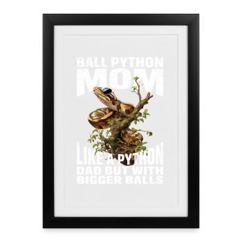 King Python Mom Mom Snakes Terrarium Python - Framed poster (27 × 37 cm) - black - Front