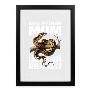 King Python Mom Mom Snakes Terrarium Python - Framed poster (27 × 37 cm) - black - Front