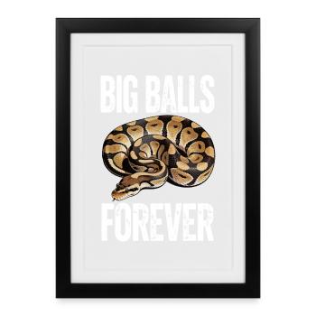 King Python Snakes Lover Terrarium Python - Framed poster (27 × 37 cm) - black - Front