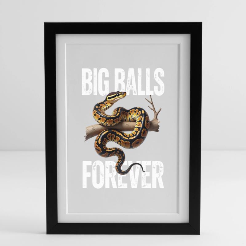 Python roi Serpents Amateurs de terrarium Python Affiche encadrée (27 × 37 cm)