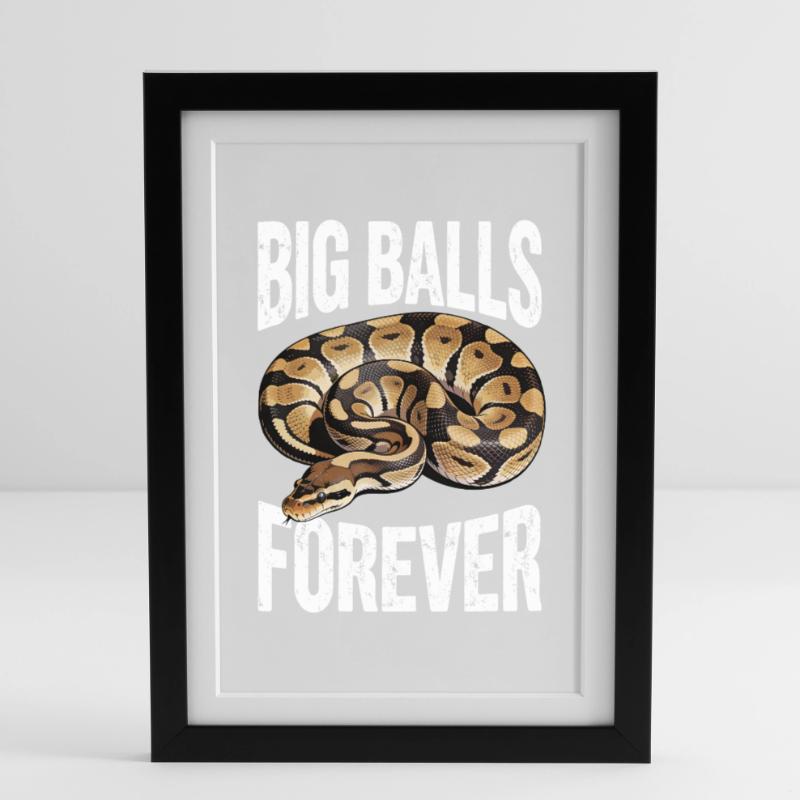 King Python Snakes Lover Terrarium Python Framed poster (27 × 37 cm)