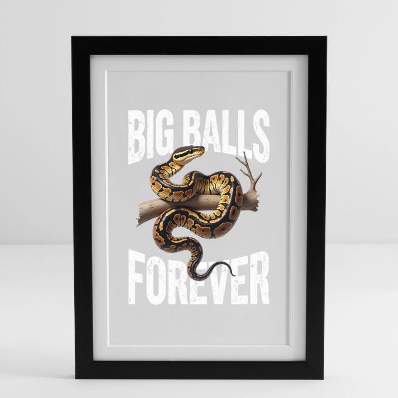 King Python Snakes Lover Terrarium Python Framed poster (27 × 37 cm)