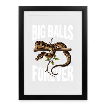 King Python Snakes Lover Terrarium Python - Framed poster (27 × 37 cm) - black - Front
