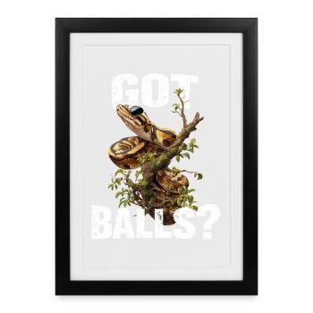 King Python Snakes Lover Terrarium Python - Framed poster (27 × 37 cm) - black - Front