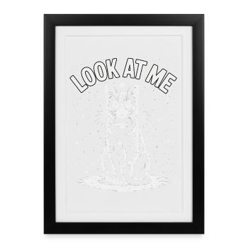 Regarde-moi - Ciel étoilé de chat - Affiche encadrée (27 × 37 cm) - noir - Devant