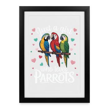 Trois perroquets Ara Amoureux des perroquets Tropical - Affiche encadrée (27 × 37 cm) - noir - Devant