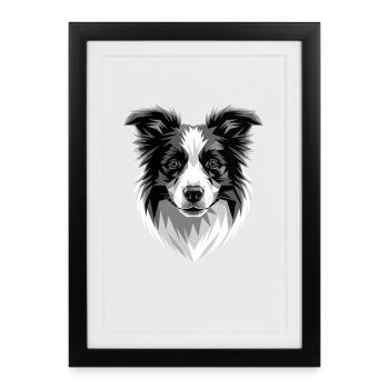 Border Collie Chien Amateur de Chiens Mignons Collies - Affiche encadrée (27 × 37 cm) - noir - Devant