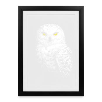 Snowy owl - Framed poster (27 × 37 cm) - black - Front