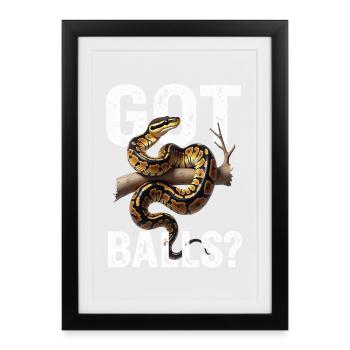 King Python Snakes Lover Terrarium Python - Framed poster (27 × 37 cm) - black - Front
