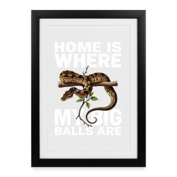 King Python Snakes Lover Terrarium Python - Framed poster (27 × 37 cm) - black - Front