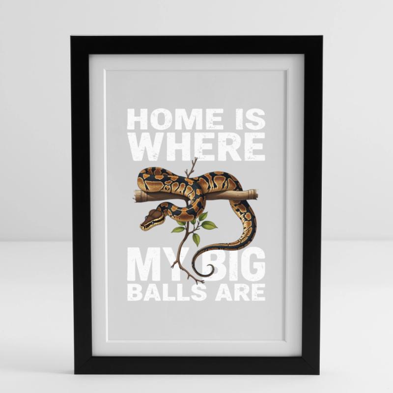 Python roi Serpents Amateurs de terrarium Python Affiche encadrée (27 × 37 cm)
