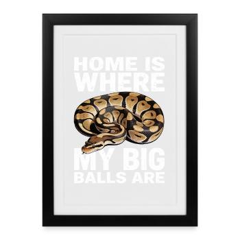 King Python Snakes Lover Terrarium Python - Framed poster (27 × 37 cm) - black - Front