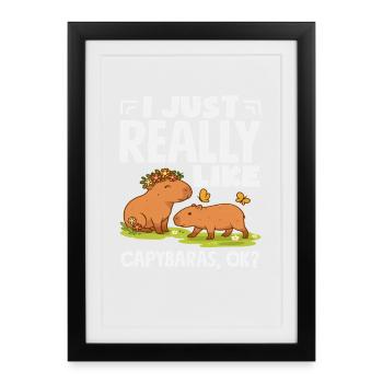 J’aime vraiment les capybaras, adore drôle d’animaux - Affiche encadrée (27 × 37 cm) - noir - Devant