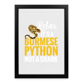  Snake Owner Terrarium Reptile Enclosure Burmese - Framed poster (27 × 37 cm) - black - Front