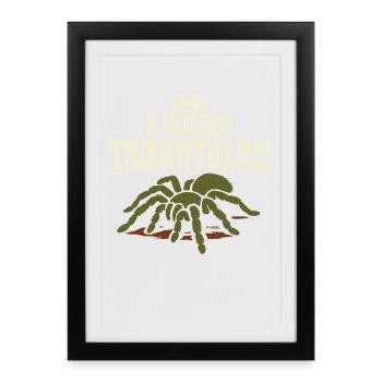 Propriétaire d’araignée Propriétaire de la Tarentule - Affiche encadrée (27 × 37 cm) - noir - Devant