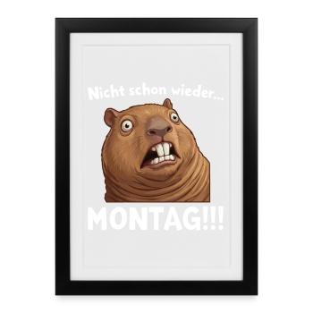 Capybara disant : Pas encore lundi ! - Affiche encadrée (27 × 37 cm) - noir - Devant