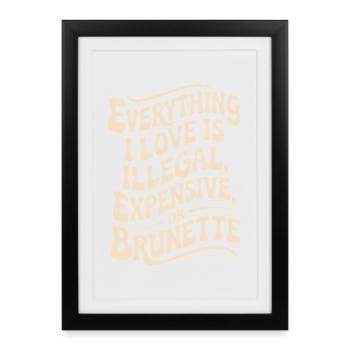 Everything I Love Is Illegal Expensive Or Brunette - Framed poster (27 × 37 cm) - black - Front