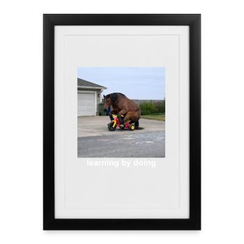 Apprendre en faisant de l’humour drôle sur les mèmes de chevaux - Affiche encadrée (27 × 37 cm) - noir - Devant