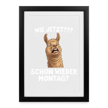 Lama drôle : Et maintenant ? Lundi encore ? - Affiche encadrée (27 × 37 cm) - noir - Devant