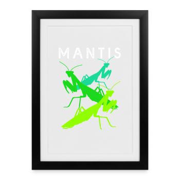 Worshipper Mantis Mantis - Framed poster (27 × 37 cm) - black - Front