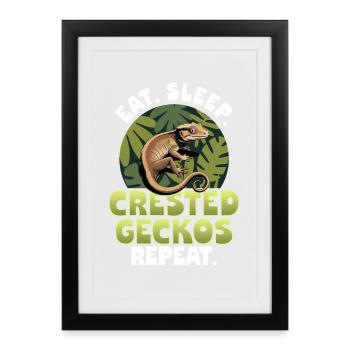 Gecko à crête reptile drôle - Affiche encadrée (27 × 37 cm) - noir - Devant