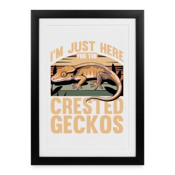 Gecko à crête reptile drôle - Affiche encadrée (27 × 37 cm) - noir - Devant