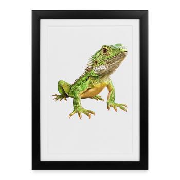 Lézard des lézards - Affiche encadrée (27 × 37 cm) - noir - Devant