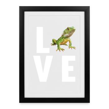 Lézard des lézards - Affiche encadrée (27 × 37 cm) - noir - Devant