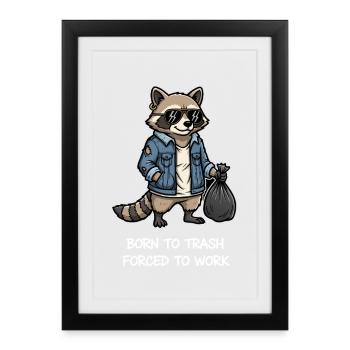 Né dans une famille de déchets forcé de travailler Raccoon - Affiche encadrée (27 × 37 cm) - noir - Devant