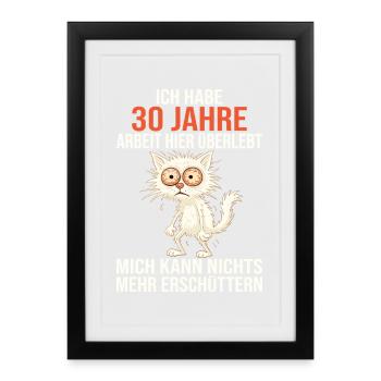 30 Year Company Anniversary Service Anniversary Work - Framed poster (27 × 37 cm) - black - Front