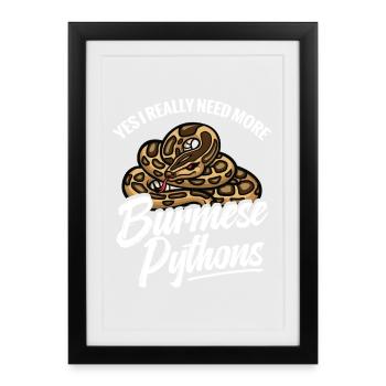  Python Lover Snake Mom Terrarium Reptile Dad - Framed poster (27 × 37 cm) - black - Front
