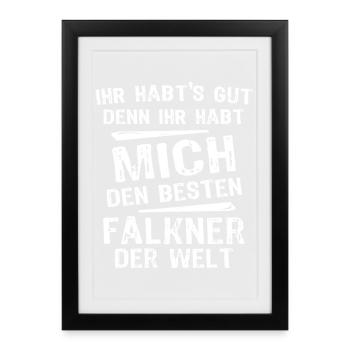 falconer - Framed poster (27 × 37 cm) - black - Front