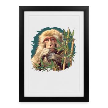 Macaque Macaque - Affiche encadrée (27 × 37 cm) - noir - Devant