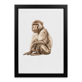 Macaque Macaque - Affiche encadrée (27 × 37 cm) - noir - Devant