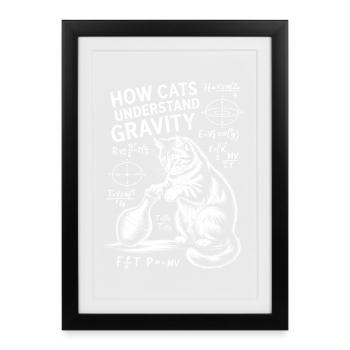 Physics Cats Sayings Math Joke Physics Gift - Framed poster (27 × 37 cm) - black - Front