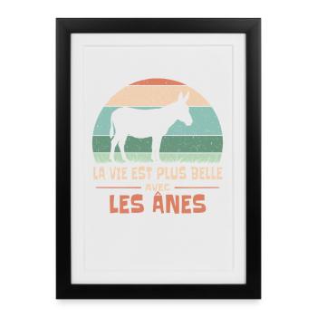 La Vie Est Plus Belle Avec Les Ânes Humour Animal - Affiche encadrée (27 × 37 cm) - noir - Devant