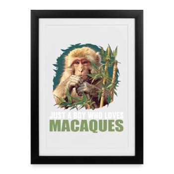 Makaken Makake - Gerahmtes Poster (27 × 37 cm) - Schwarz - Vorne