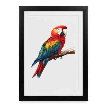 Macaw's Era - Framed poster (27 × 37 cm) - black - Front
