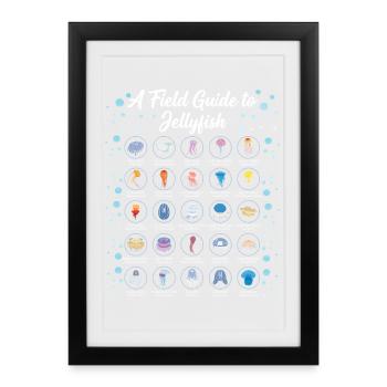 Guide To Jellyfish Scientific Biology - Framed poster (27 × 37 cm) - black - Front