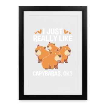 Capibara Capybara - Gerahmtes Poster (27 × 37 cm) - Schwarz - Vorne