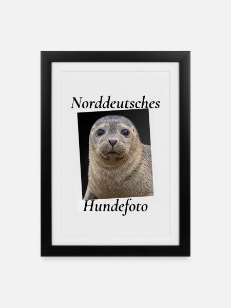 Norddeutsches Hundefoto Lustiger Seehund Nordsee H - Gerahmtes Poster (27 × 37 cm) - Schwarz