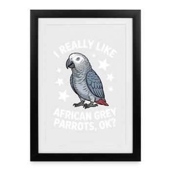 Grey Parrot Sayings Funny Grey Parrot Gift - Framed poster (27 × 37 cm) - black - Front