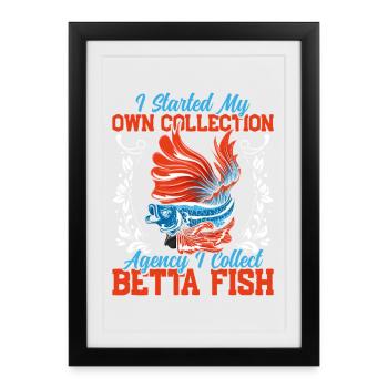 Aquarium siamois combattant des poissons d’eau douce - Affiche encadrée (27 × 37 cm) - noir - Devant