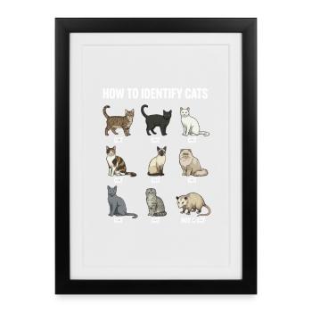 Cat Species Recognition Motif - Framed poster (27 × 37 cm) - black - Front