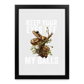 King Python Snakes Lover Terrarium Python - Framed poster (27 × 37 cm) - black - Front